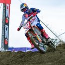 웨일 미아점 이미지