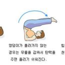 요가B 이미지