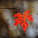 해공로 | [공지] 경기도 광주도시관리공사 고위직 청렴교육(231030)