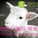 좋은환경 이미지