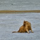 예찬상사 이미지