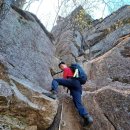 늑대와여우 이미지