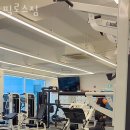 필로스짐 이미지