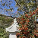 보리수다방 | 🇰🇷 2024 부안(변산)·군산 여행 ~ ② 가을빛 변산반도 드라이브 (+부안 변산 분위기 좋은 카페·노을...