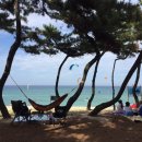 국군강릉병원 이미지