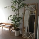 네버엔딩웨이브 이미지