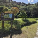 산소한우 이미지