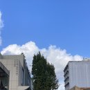 11650-16-157-24 | D+157-160 24시간 단식을 해보았습니다..?!