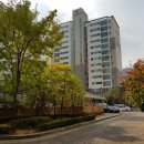 화산중앙로 이미지