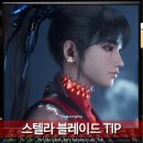 플스5 게임 추천 스텔라 블레이드 플레이 팁 및 후기 의상 검열에 대한 생각