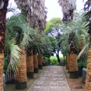 용천2리 이미지