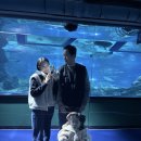 카플러스 | 씨투엠뉴 에이블 유모카 플러스 트라이크 내돈내산_솔직후기