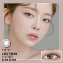 지니스안경 진영신도시점 이미지