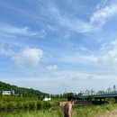 (주)정다 이미지