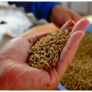 크로바농장 이미지