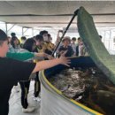 안정농장 이미지