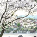 10년후그라운드 네이버블로그