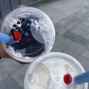 버블린 | 메뉴 추천☕️ | 하이오커피 메뉴 3종 솔직 후기 (흑당밀크 버블린 / 커피 밀크쉐이크 / 쿠키 크림 프라페)