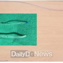 용성의료재단 이미지