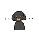 프리죤 이미지
