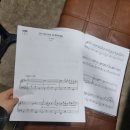 원카피랜드