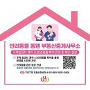 동행부동산중개사무소 아시아경제