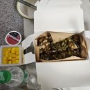 푸라닭전북대점 이미지