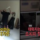 카 매니저 이미지