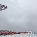 스위스파크여관 이미지