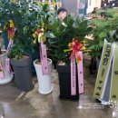 어부의밥상미슬토 이미지