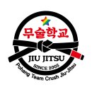 팀크러쉬주짓수