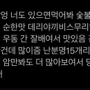 동근이숯불두마리치킨 남성역점 이미지