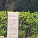 구 용산 수위관측소 이미지