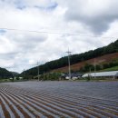 조전1리 이미지