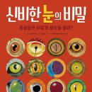 [신간 안내/키다리] 신비한 눈의 비밀 - 동물들은 어떻게 세상을 볼까? 이미지