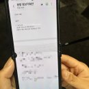 2025 조선일보 ALC 서포터즈 후기