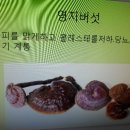 산이주는선물 이미지