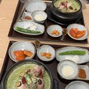 맛집삼계탕 | 삼성역점심 삼계옥 코엑스 맛집 바질삼계탕 후기