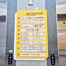 빌리아드스타 이미지