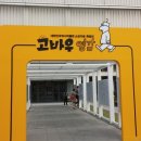 고바우 이미지