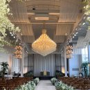 아리엘언니 이미지