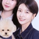 차영메이크업 - 마포구 | 차영메이크업