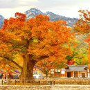 다이어트 건강요리(오전) 이미지