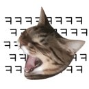 최선다찬 이미지