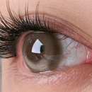 글램래쉬(Glam Lash)
