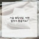 네일로맨틱