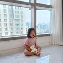 르컬렉티브강남예술의전당로이움
