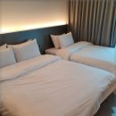 퍼플 315 이미지