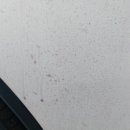 대형손세차 이미지