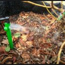 전용농장 이미지